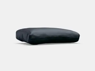 FROSON Cover for back cushion 1 Low-poly 3D model