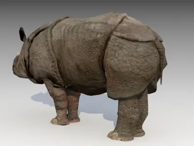 Asian Rhinoceros Animated Low-poly 3D model