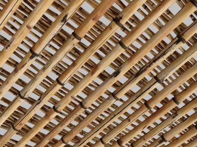 Ceiling bamboo crooked branch low n8 3D model