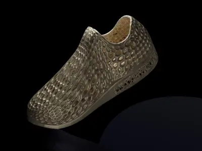 Wearable 3D print shoe 3D print model