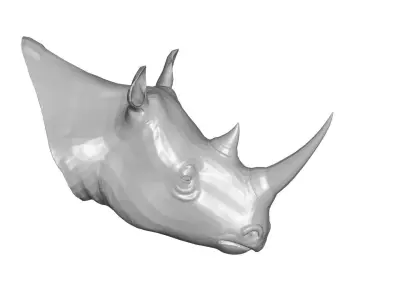 Rhino head 3D model