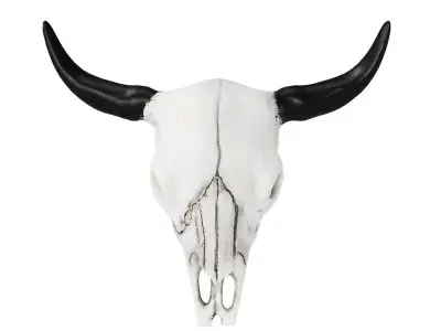 Bull Skull 3D model