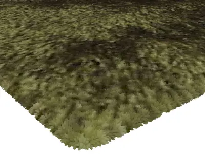 Rug Set 634 3D model