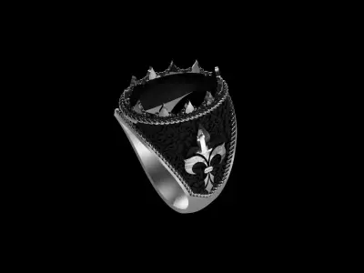 FashionRing 3D print model