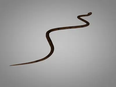 Snake Cobra Low-poly 3D model