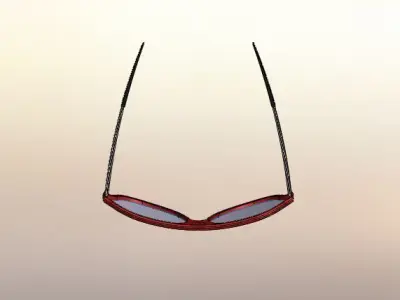 SunGlasses-Eye wear Free 3D model