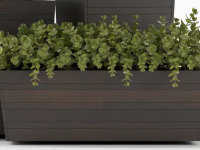 plants set 136 3D model