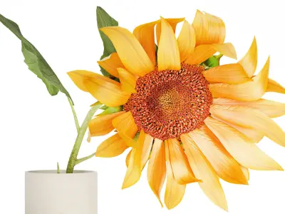 Yellow Flower Bouquet Of Sunflower In Ceramic Vase 537 3D model