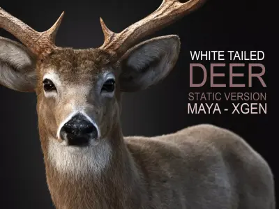 Deer 2025 static version XGEN CORE 3D model
