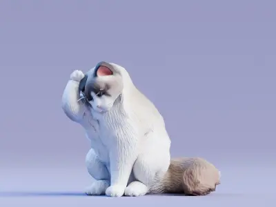 Low poly - Stylized cats - Ragdoll Cat Low-poly 3D model