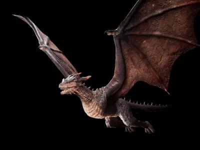 Red Wyvern Dragon Low-poly 3D model