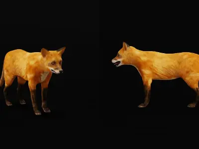 Red Fox Karaganda Low-poly 3D model