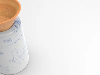 Bio Vase Low-poly 3D model