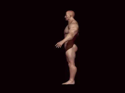base mesh bodybuilder  Low-poly 3D model