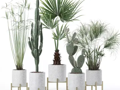 Plants collection 123 3D model