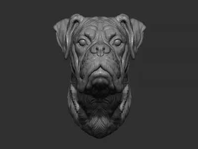 Deutscher Boxer bust 3D print model