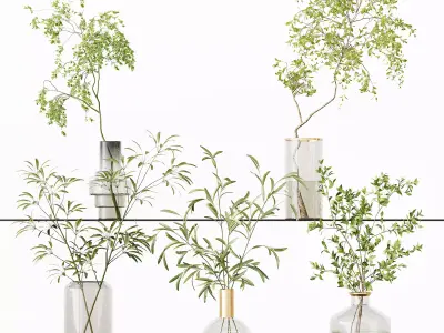 Collection Indoor Plants 017 3D model