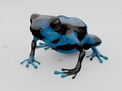 Dart Frog Low-poly 3D model