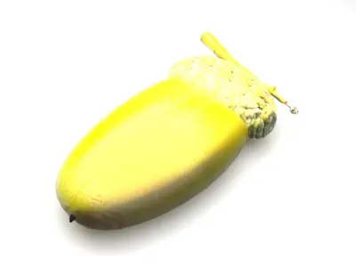 Acorn 3D model