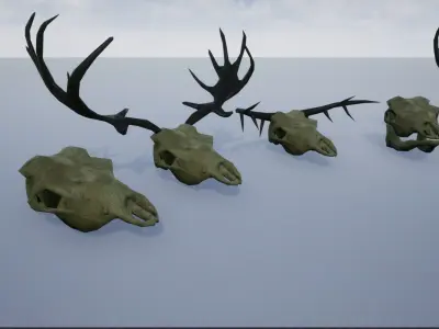 Animal Skulls and Antlers Low-poly 3D model
