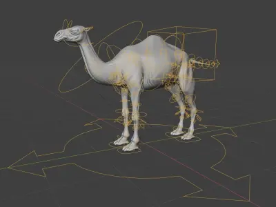 Camel 3D model