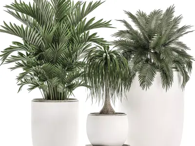 Plants in a white flowerpot for decor and interior design 503 3D model