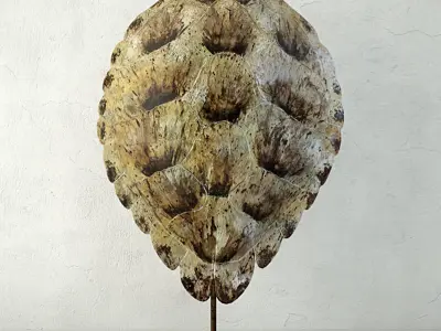 Faux Turtle Shell Sculpture 2 3D model
