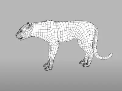 Leopard in wild 3D model
