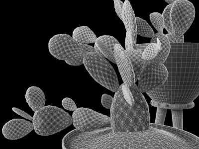 Cactus Set for decorating Your interiors 3D model