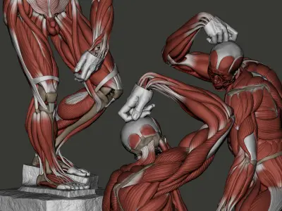 Ecorche Bearded Slave from Michelangelo 3D print model