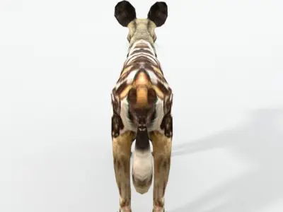 African Hunting Wild Dog Low-poly 3D model