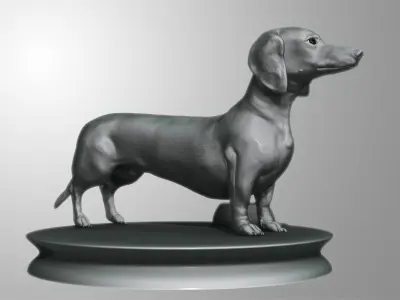Detailed Dachshund Dog Low-poly 3D model