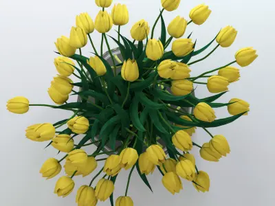 Yellow tulips 3D model