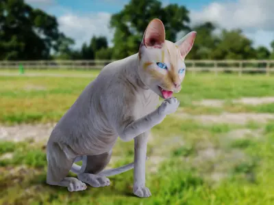 Cat White Rigged in Blender Low-poly 3D model