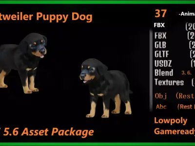 Rottweiler Puppy Dog Low-poly 3D model