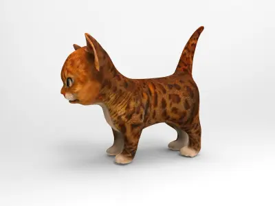 3D cute kitten cat animated model Low-poly 3D model