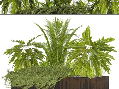 Collaction Indoor plant vol 41 3D model