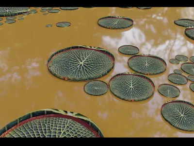 low poly lily pad  Free low-poly 3D model