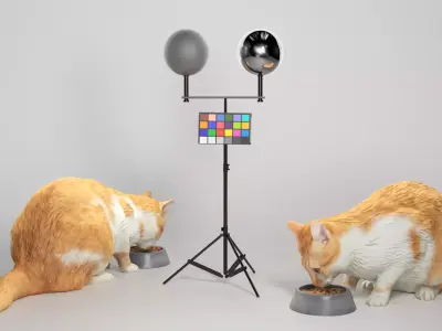 Cat eating food 12 Low-poly 3D model