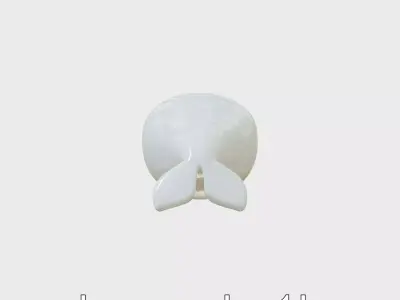 Beluga Whale 3D Model with White Skin and Flexible Neck Low-poly 3D model