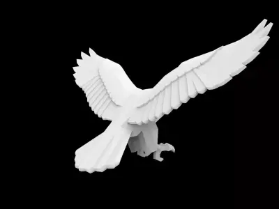 Hawk Eagle 3D Print Model 3D print model