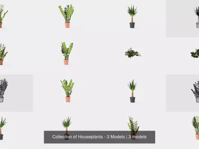 Collection of Houseplants - 3 Models