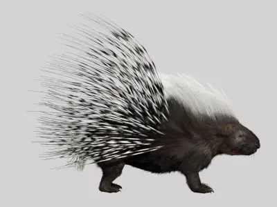 Porcupine 3D model