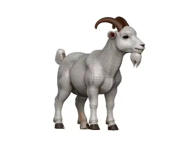 Goat-Goat Low-poly 3D model