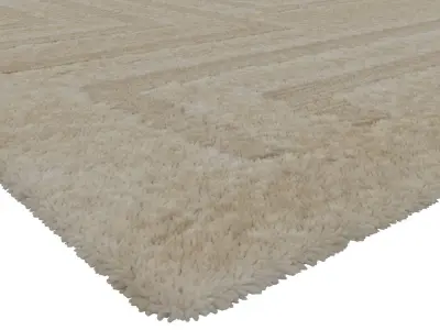 Rug Set 2119 3D model