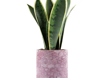 Plants Collection 98 3D model