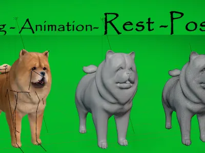 Chow Chow Dog Low-poly 3D model