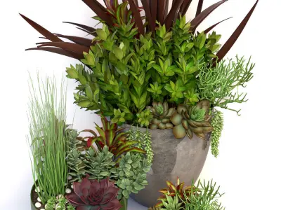 Plants 3 planter with succulents in it 3D model
