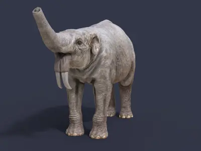 Deinotherium thraceiensis 3D model