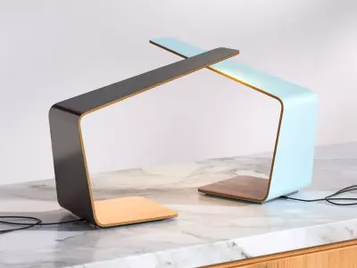 Wood lamps with LED lighting 3D model